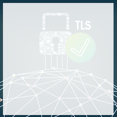 Les principaux éditeurs de navigateurs web désactiveront TLS 1.0 et TLS 1.1 en mars 2020 ITS Group