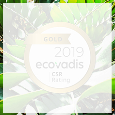 ITS Group obtient à nouveau le niveau Gold au classement Ecovadis ITS Group
