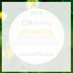 ITS Group classé une troisième année consécutive au niveau Gold Ecovadis !  ITS Group