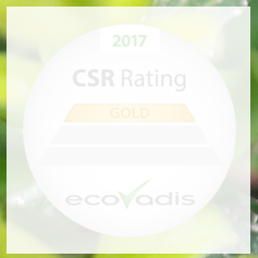 ITS Group obtient à nouveau le niveau GOLD au classement EcoVadis ITS Group